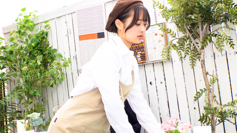 かほ 見どころ